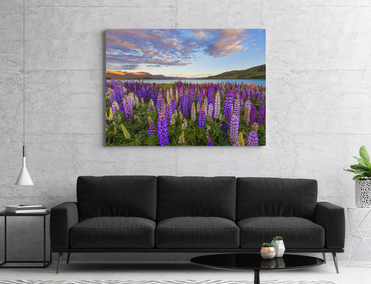 Canvas Prints displayed on Wall - Photo Canvases