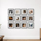 A 3x4 grid of twelve framed photo tiles on Diamond Photo Australia. The black-and-white and color photographs hang on a white wall in a styled interior room with a window, plant, lamp, and wooden cabinet.