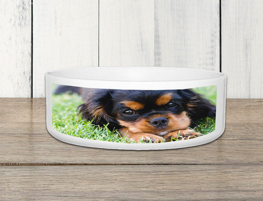 Custom ceramic pet bowl personalised with an image of a dog on it, placed on a wooden surface.
